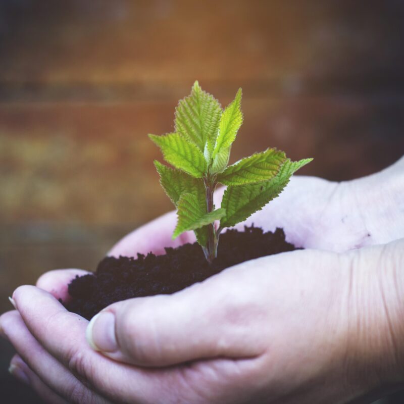 Purpose Alignment – Build a meaningful life roadmap